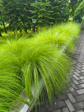 ART di Pamulang