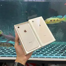 iphone 8 64 ibox