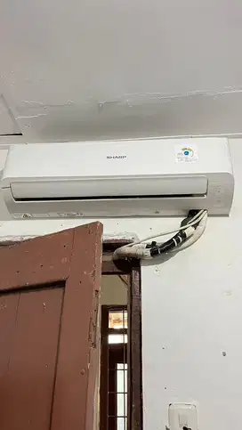 Ac sharp 1/2 pk