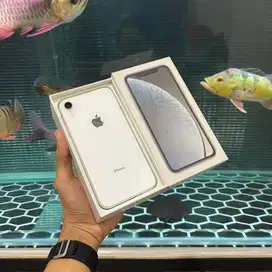 iphone xr 128 murah