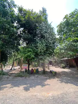 Dijual Tanah Pekarangan SHM