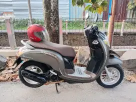 Honda Scoopy Donat