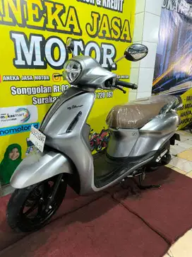 Grand Filano Lux 2024 AJM