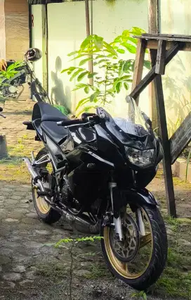 Fore Sale Ninja RR Kips 2008 body up 2013