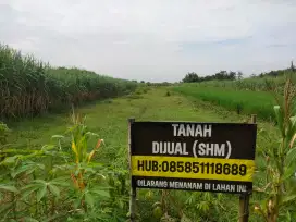 Di Jual Sawah SHM 395jt