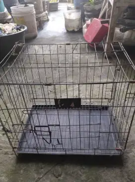Kandang kucing sangkar kucing besi katang pilang sby