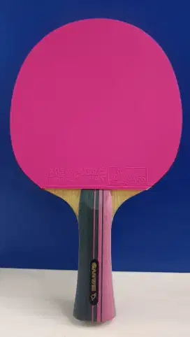 Sale! Diskon! Bat Bet Blade Pingpong Tenis Meja Set Up Khusus Serang