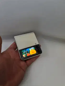 Samsung z flip 3