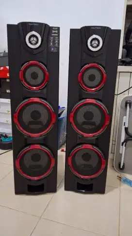 Speker POLYTRON