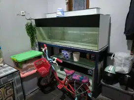 Akuarium ikan + rak