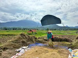 Dijual tanah sawah murah legalitas SHM View pegunungan yg estetik