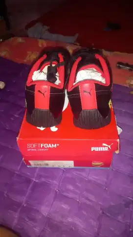 PUMA FERRARI NEO CAT