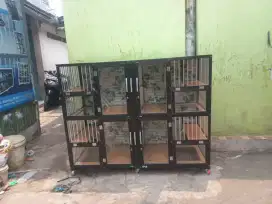 Kandang kucing Dwi