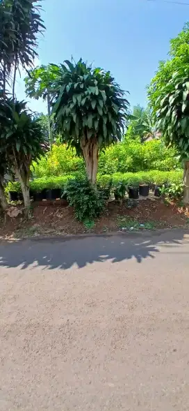 JUAL TANAH CANTIK BUAT RUMAH DAN RUKO GNSINDUR