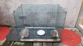 Kandang Kotak LB