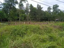 DIJUAL TANAH LANGSUNG TANPA PERANTARA – LOKASI STRATEGIS PINGGIR JALAN