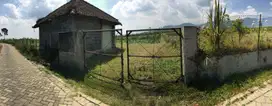 Dijual Cepat Tanah Kebun Jeruk di Kec. Tutur Pasuruan.  1,7 ha Nego