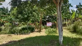 Jual Tanah Cepat Daerah Langsa 290 Mtr (SHM)