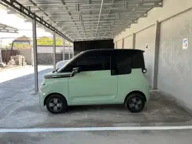 Wuling Air EV Standard Range Avocado Green 2023