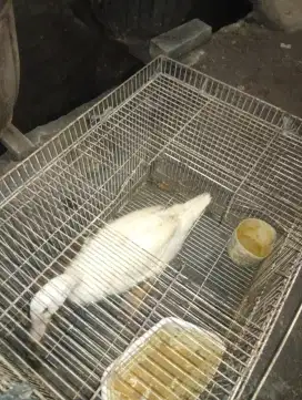 Bebek Umur 3 bulan