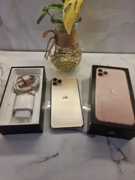 Iphone 11 promax 64gb ibox gold