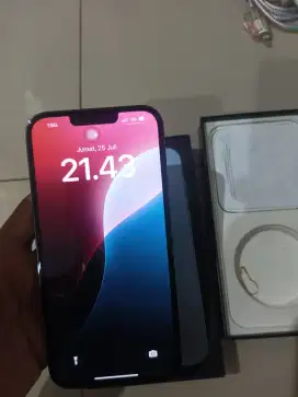 Iphone 13 promax 256gb beacukai