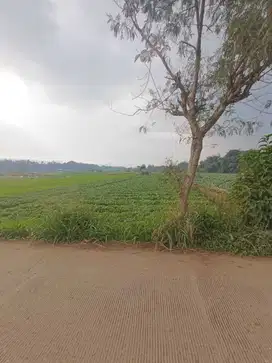 Dijual tanah luas dikawasan Banjaran Bandung