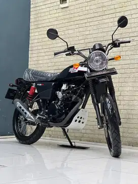 Kawasaki W 175 se black style - 2022 | Wulan mustika