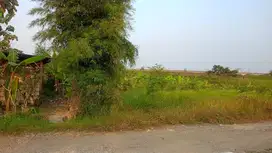 Dijual Cepat Tanah Di Driyorejo