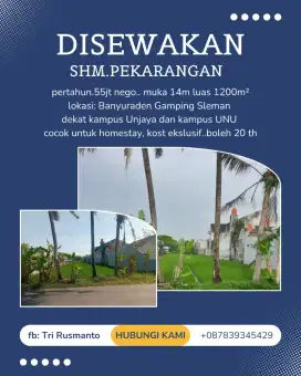 Sawah di sewakan boleh 20 th