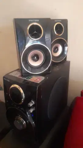 Speaker polytron