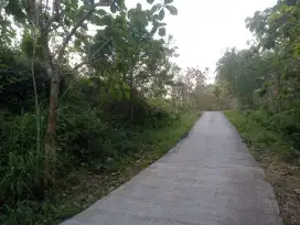 Tanah murah di Gunungkidul dekat calon wisata