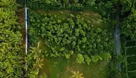 Tanah pekarangan
