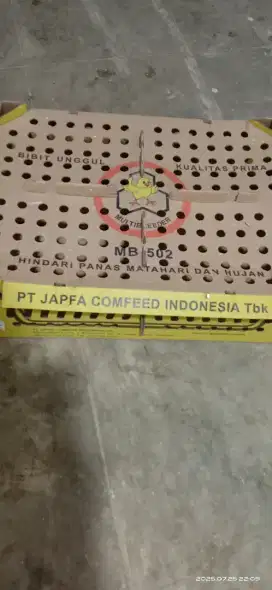DOC AYAM PEJANTAN MB 502 BY PT JAPFA COMFEED - SUDAH VAKSIN