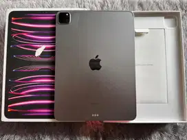 Ipad Pro M2 256GB 11 Inch Wifi Only Ex Garansi iBox