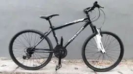 Sepeda polygon repaint