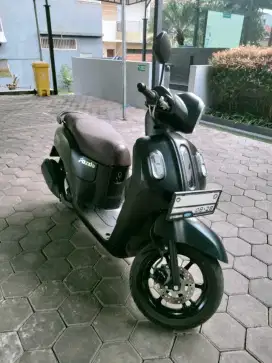 Fazzio LOW KILOMETER