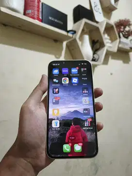 Iphone 13 Wifi only