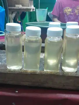 Minyak Keletik original