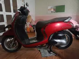 Scoopy stylish Tahun 2021