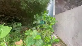 Dijual Tanah dekat BSD, di Desa dangdang, Cisauk,Tangerang - Banten.
