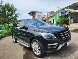 Mercedes ML 250 DIesel