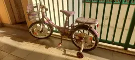 sepeda anak united