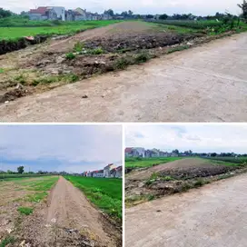 Tanah Di Sidoarum Jalan Godean Harga 300 jt-an