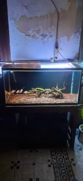 Akuarium full set