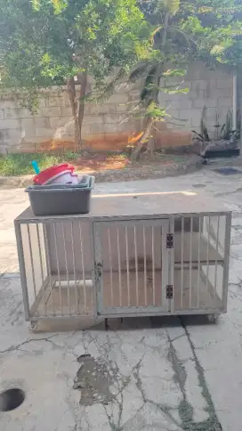 2 (dua) Kandang Kucing