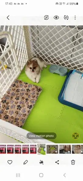 Kandang anjing warna putih