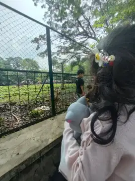 Dicari pengasuh anak perempuan usia 2,5 tahun