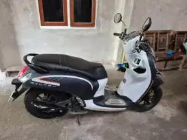 Honda scoopy (fashion blue)