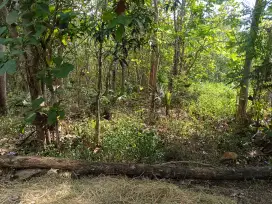 Jual tanah Srikayangan